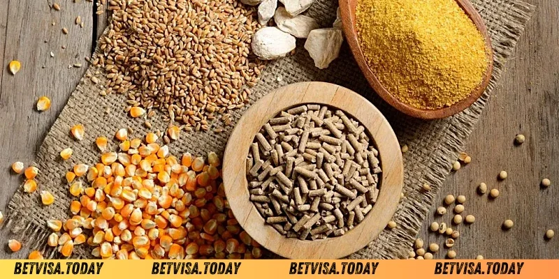 Ngũ Cốc Cho Gà Đá – Bí Quyết Tăng Độ Sung Mãn Cho Chiến Kê Ngũ cốc cho gà đá