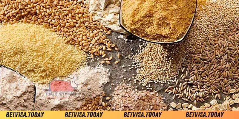 cách tăng cân cho gà chọi chi tiết