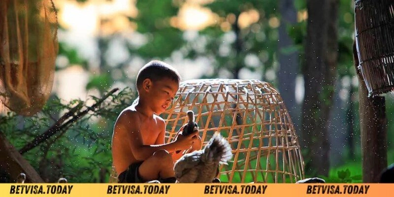 Làm Nước Cho Gà Chọi – Bí Quyết Giúp Chiến Kê Sung Mãn Làm nước cho gà chọi bằng nước thảo dược