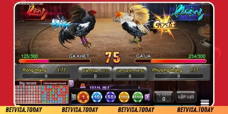 Đá gà đặc sắc